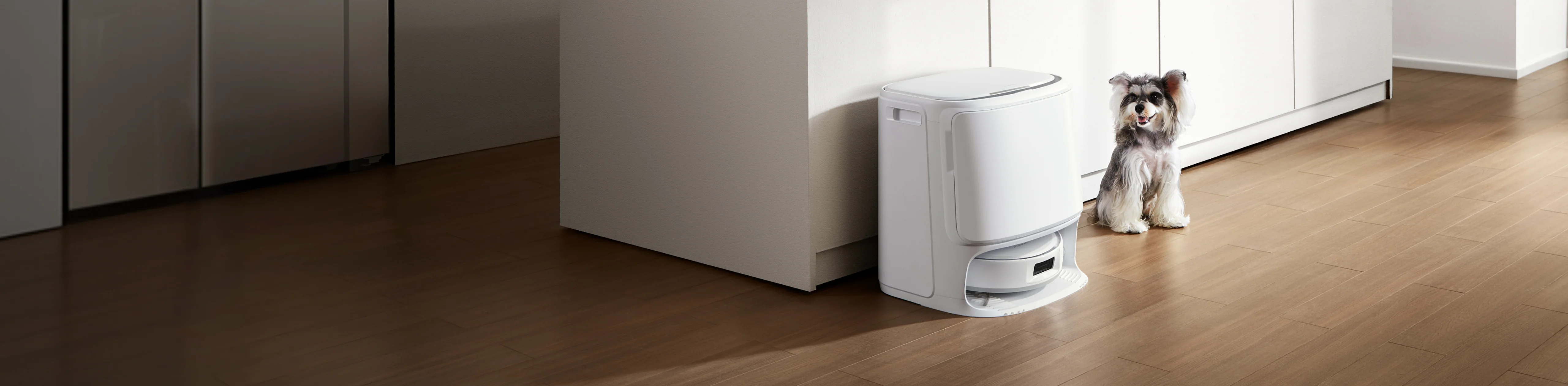 Revolutionize Your Home Cleaning